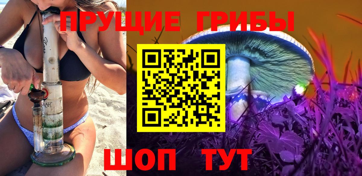 Галлюциногенные грибы прущие грибы  купить   Ишим  Вход с VPN 