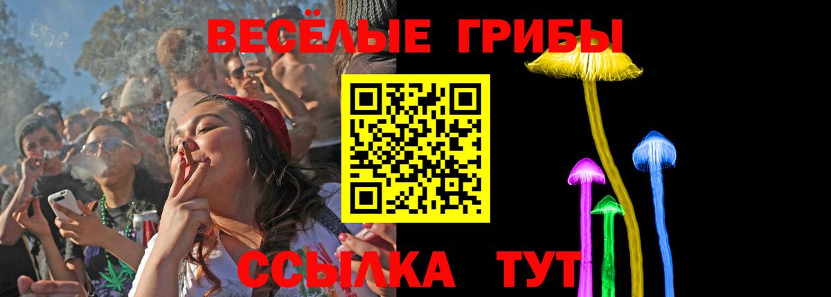 Галлюциногенные грибы MAGIC MUSHROOMS Ишим